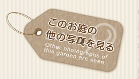 このお庭の他の写真を見る