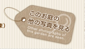 このお庭の他の写真を見る