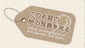 このお庭の他の写真を見る