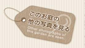 このお庭の他の写真を見る