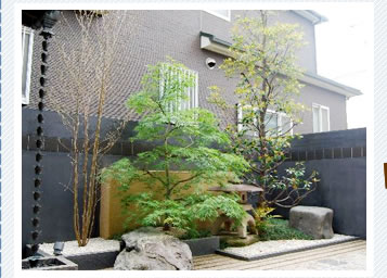 それぞれのフォーカスポイントの中に、たくさんのシーン