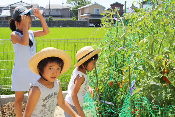 砂場にプール、家庭菜園！素敵なウォールの向こうには、家族みんなで楽しめるナチュラルガーデン