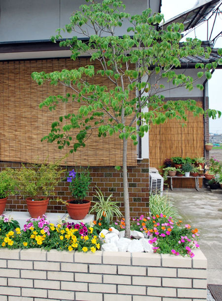 モノトーンが植栽を引き立てる庭