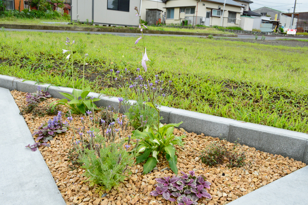 木のやさしさが創りだすナチュラルモダンテイストのガーデンエクステリア