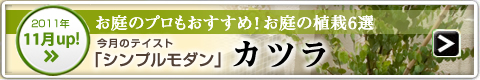 ［2011年11月UP！］テイスト別人気の植栽：カツラ