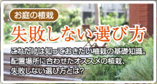 [お庭の植栽] 失敗しない選び方
