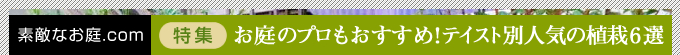 素敵なお庭.com 特集:お庭のプロもおすすめ!お庭の植栽6選