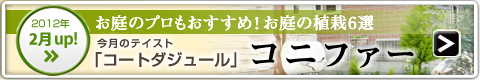 ［2012年2月UP！］テイスト別人気の植栽：コニファー