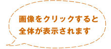 画像をクリックすると全体が表示されます