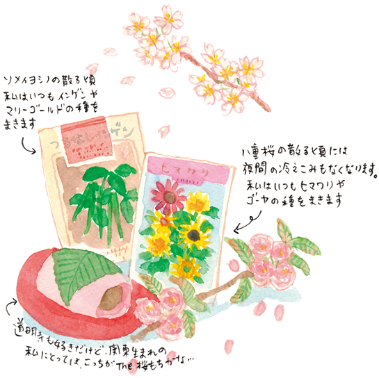 桜の季節！自然から学ぶガーデニング