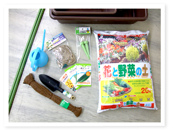 グリーンカーテン作りに必要なもの