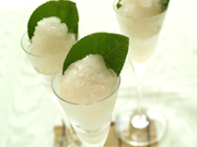 新しょうがのソルベ