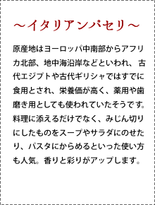 イタリアンパセリ