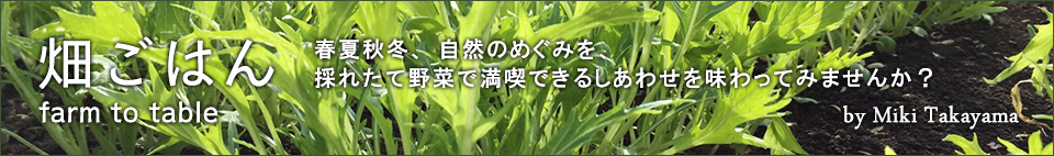 春夏秋冬、自然のめぐみを、採れたて野菜で満喫できるしあわせを味わってみませんか？畑ごはん：高山美樹