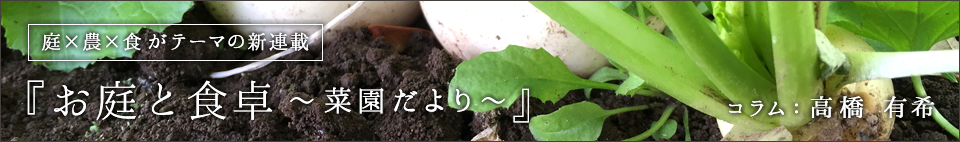 庭×農×食がテーマの新連載「お庭と食卓～菜園だより～」：高橋有希